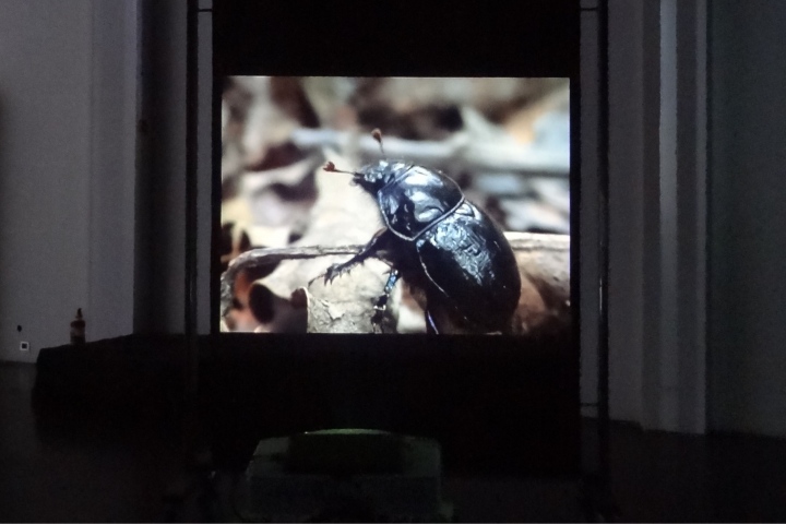 Dweller (2015) &amp;copy; Emma van der Put